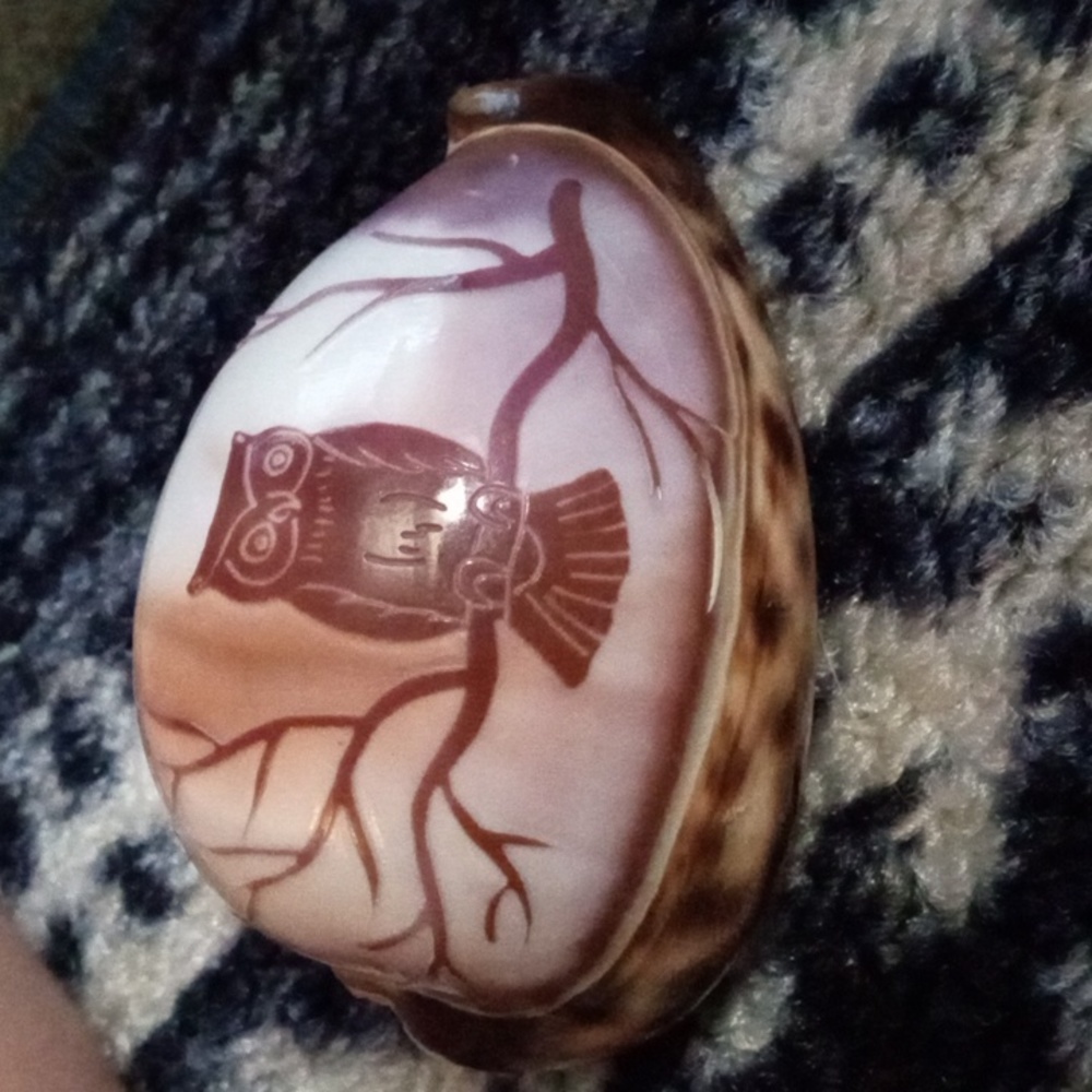 Carved Cowrie Shell